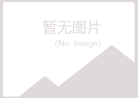 山西冰夏采矿有限公司